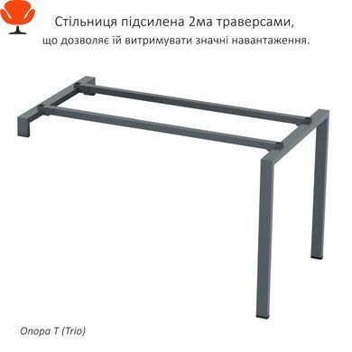 Столи для офісу на 2 робичих місця Promo t25